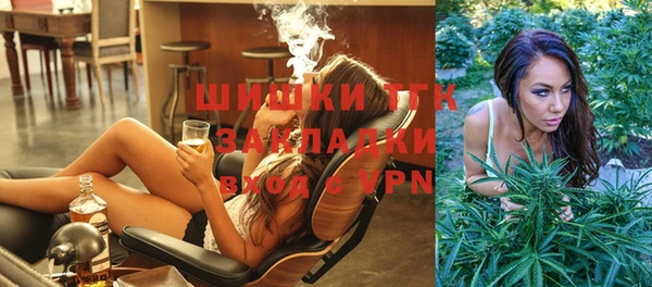 тгк Верея