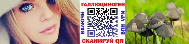 Псилоцибиновые грибы ЛСД  Грайворон 