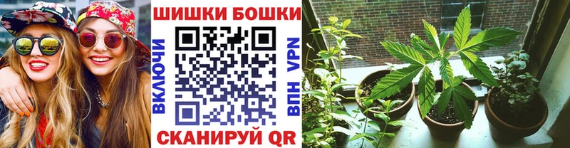 наркошоп  Грайворон  ссылка на мегу онион  Бошки Шишки Amnesia 